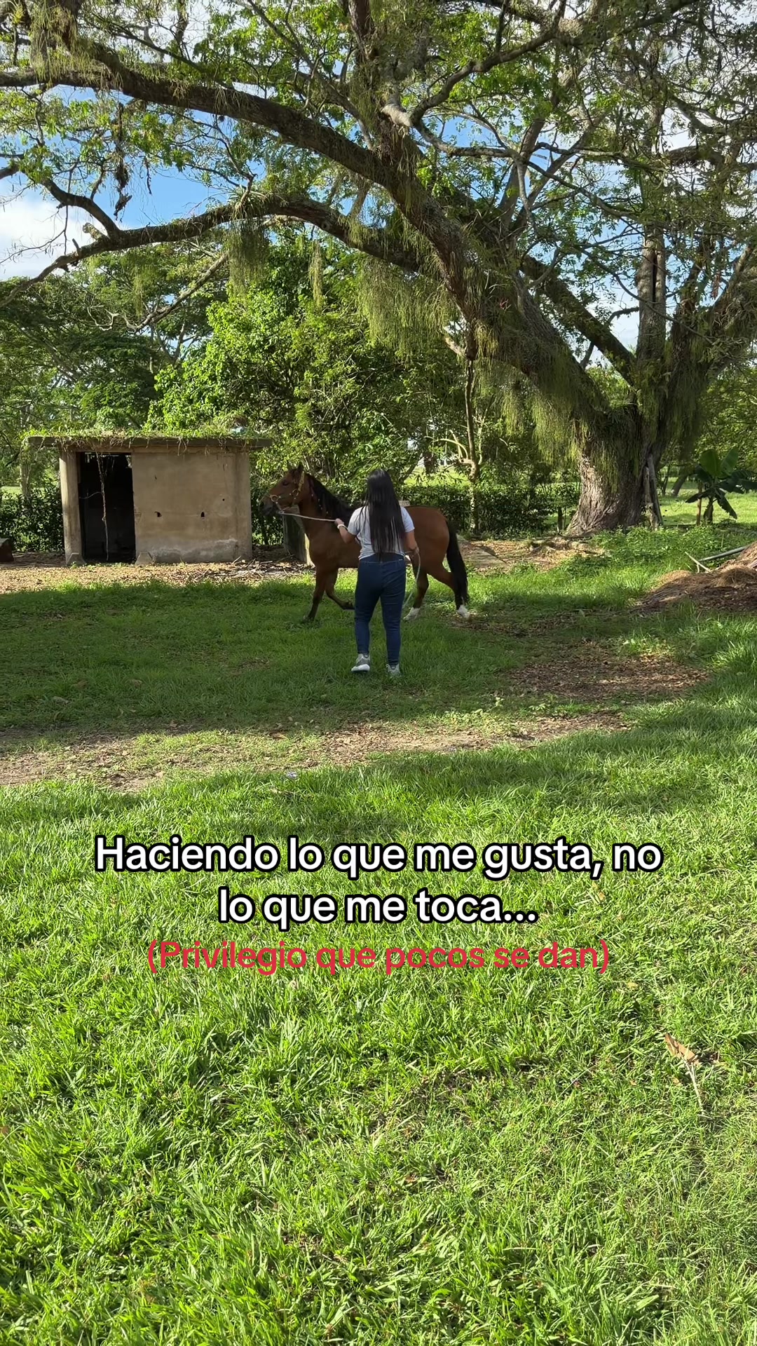 @Vianed Dayana