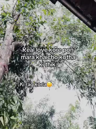 @Maruf billah 🌱
