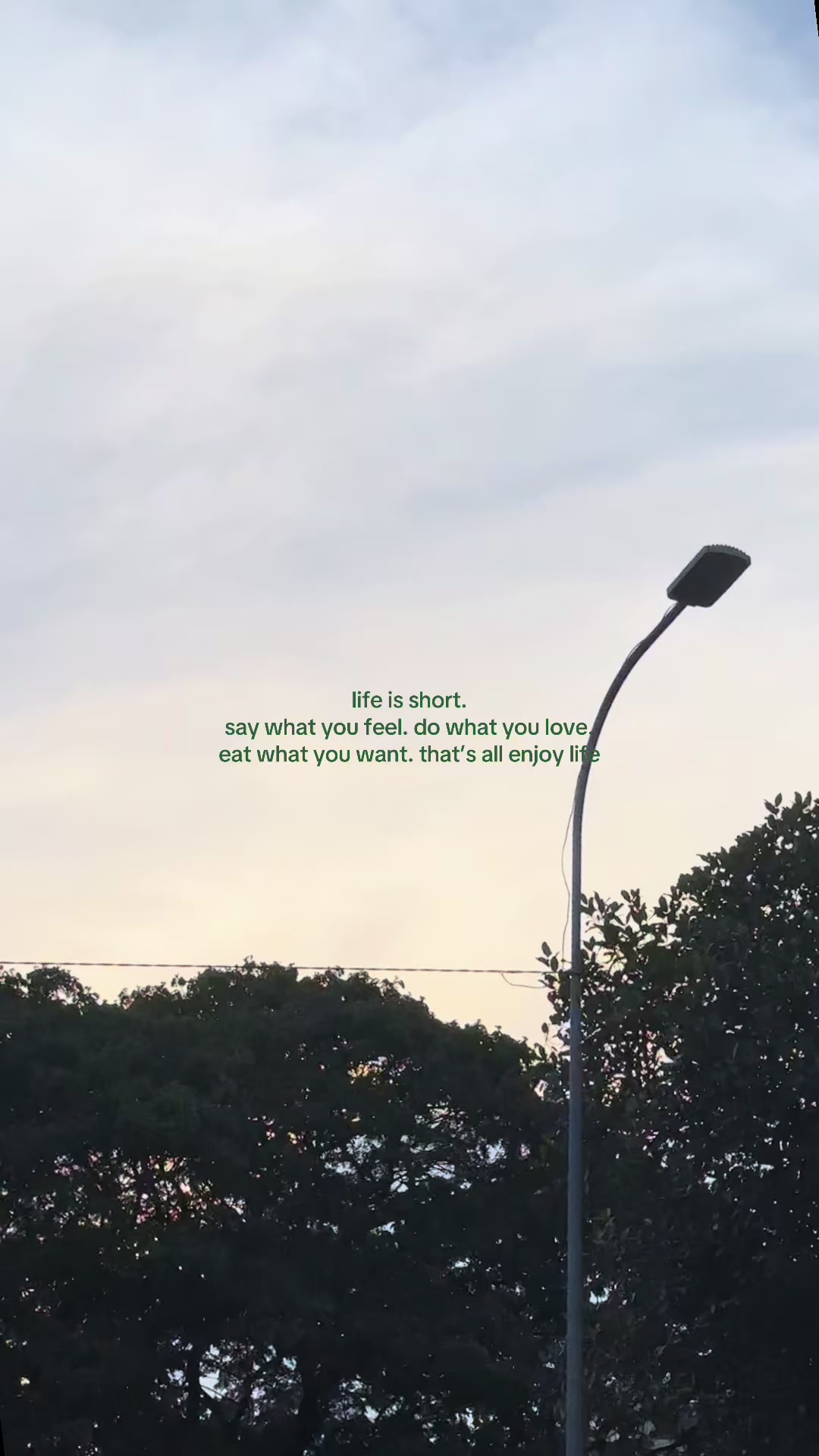 @Something I couldn&rsquo;t say.