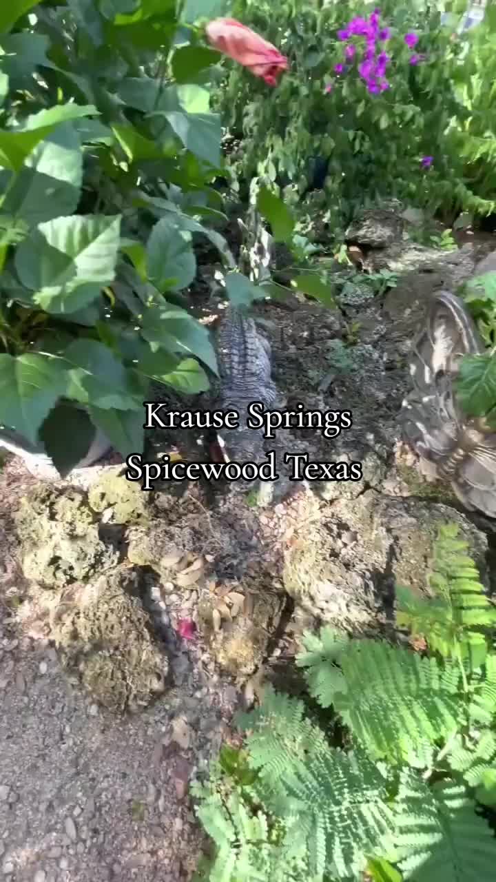 @Hubertcampbelltravels