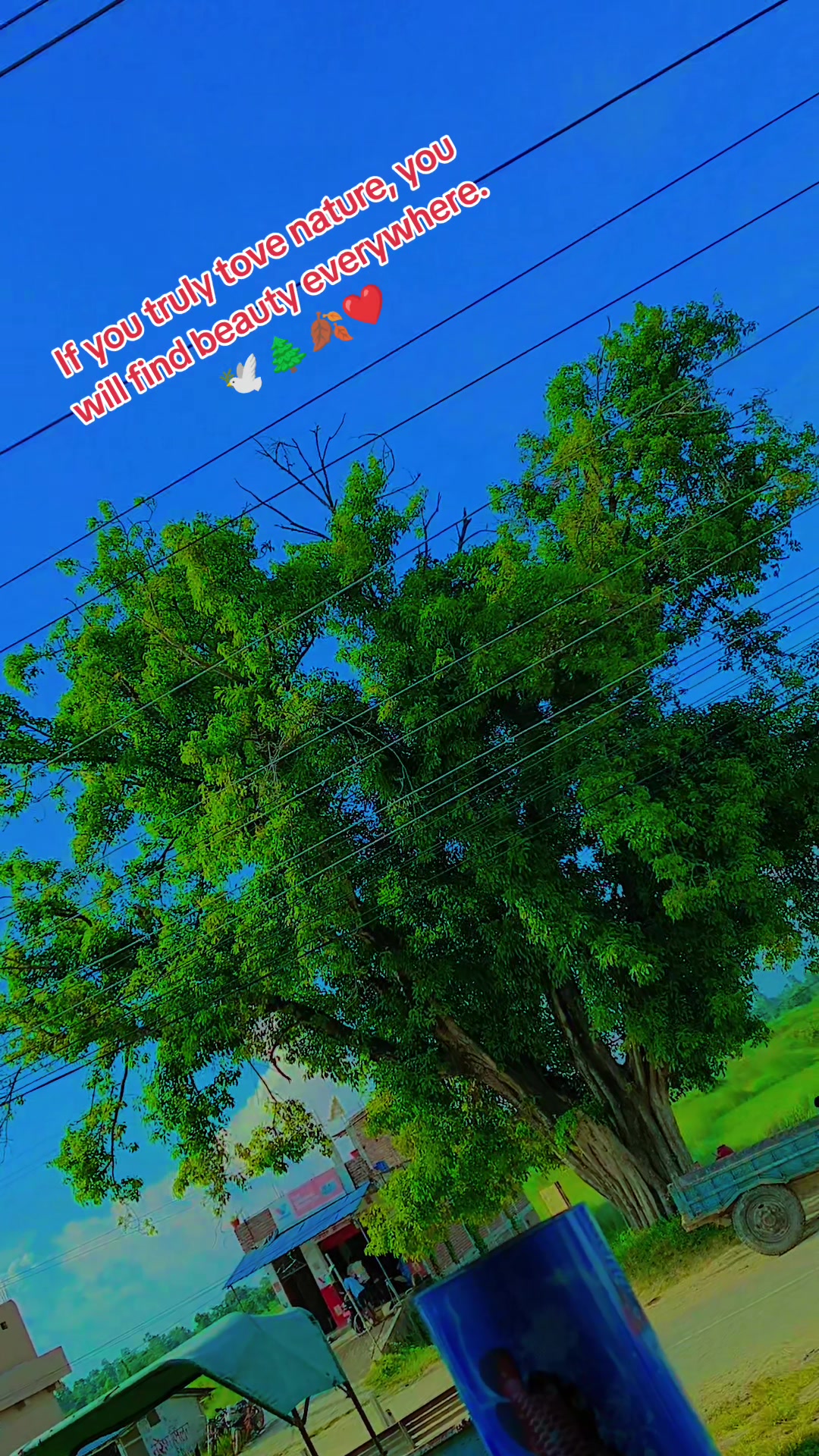 @official_Himal