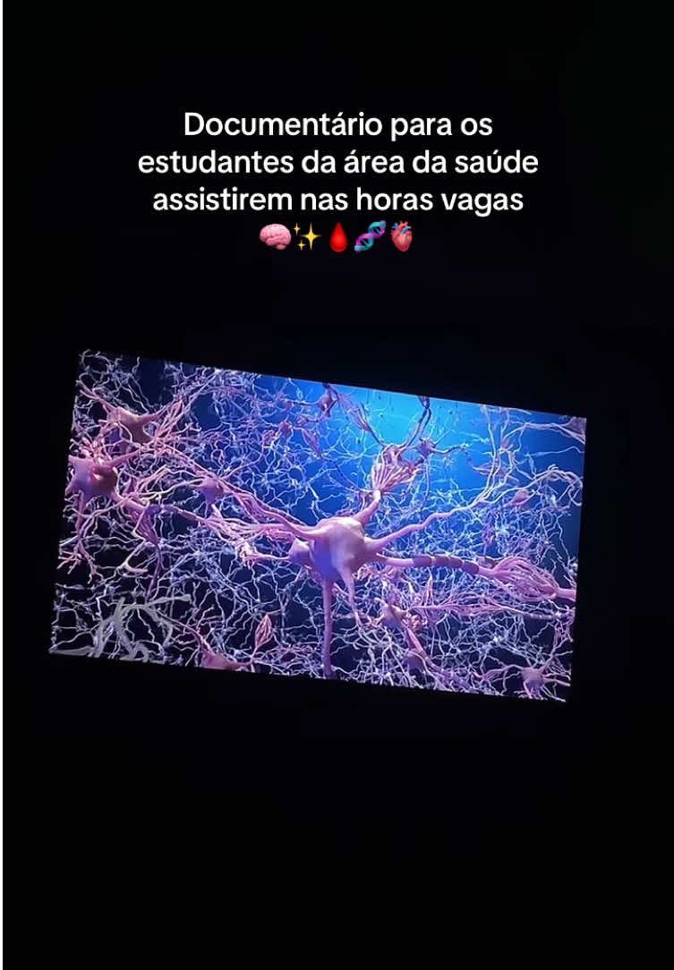 @Eduarda Vitória 🌸