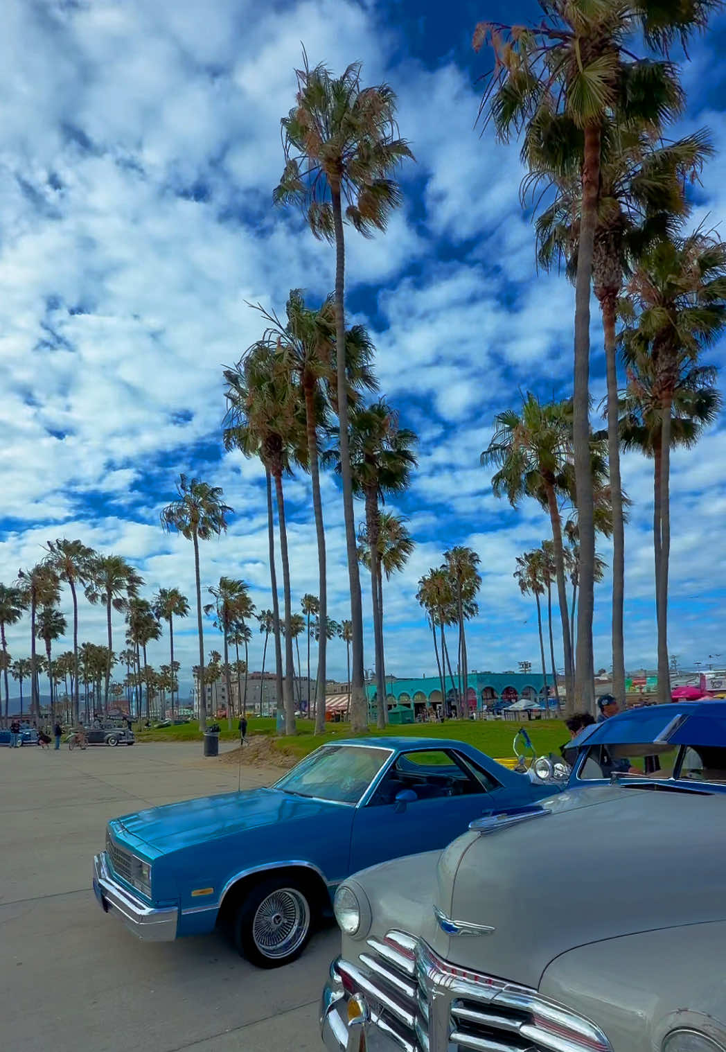 @Venice Beach Boardwalk