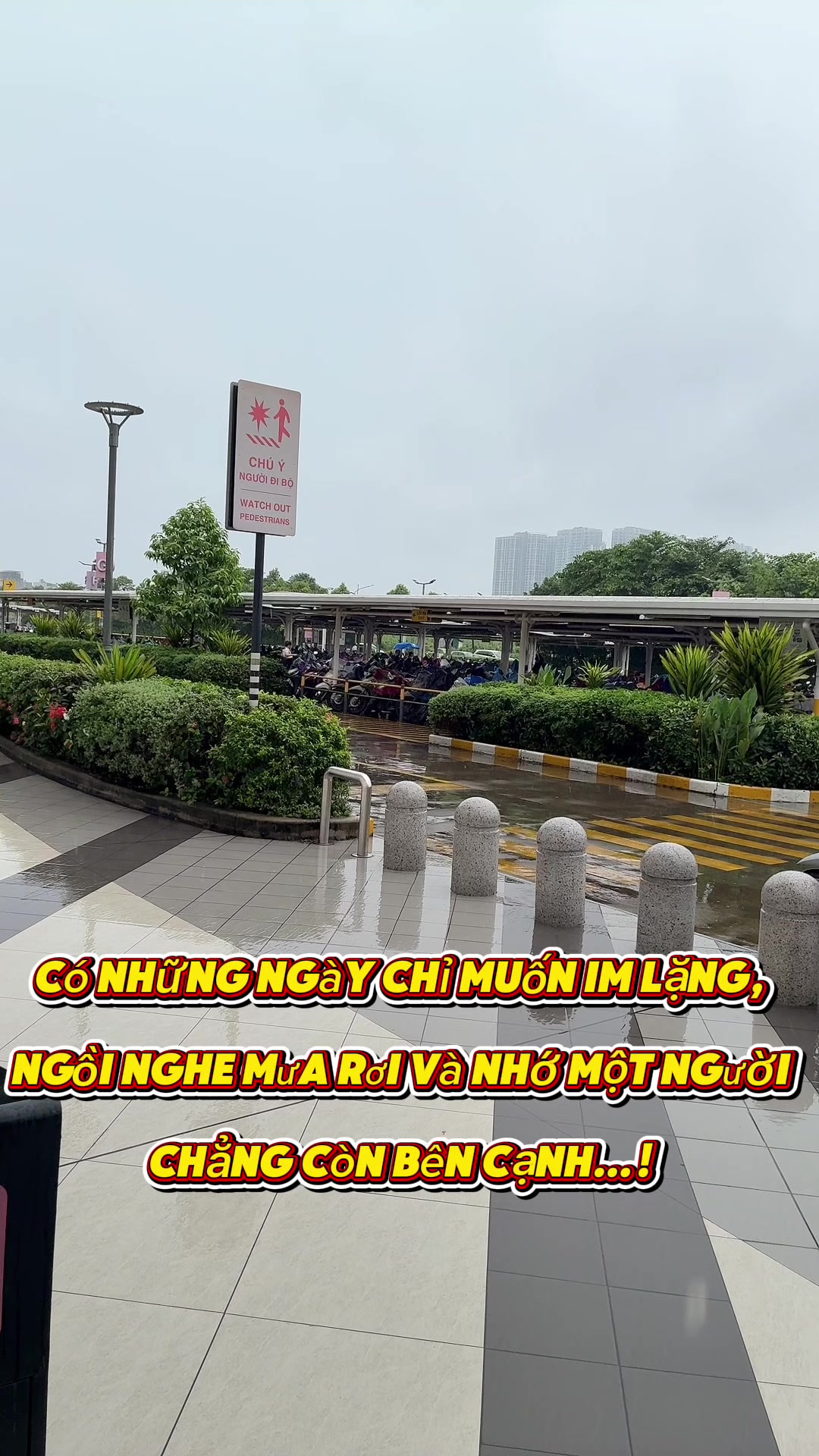@Mquanhjhj