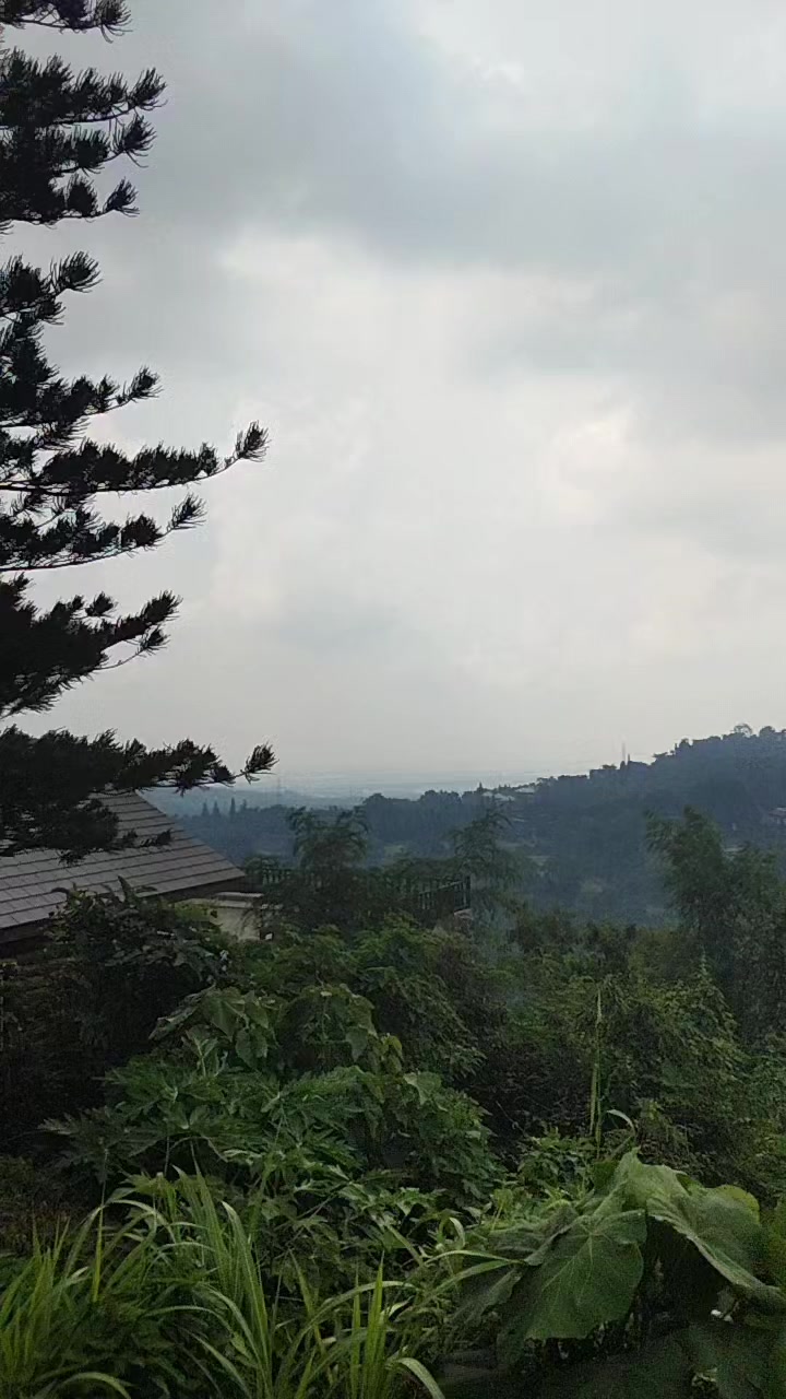 @Jhun Bolilan Borlasa