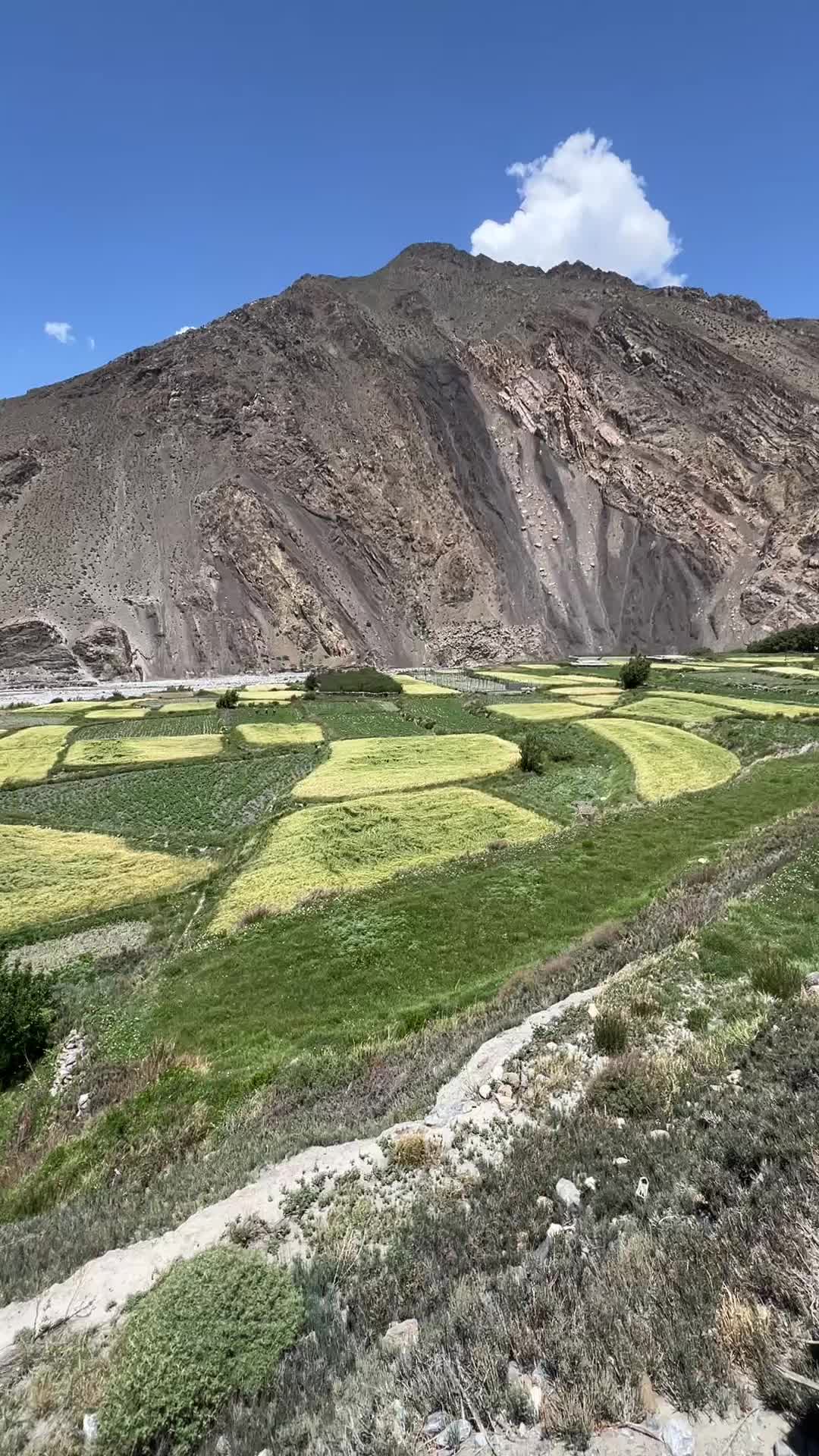 @Nepal Mountain Guides 🇳🇵
