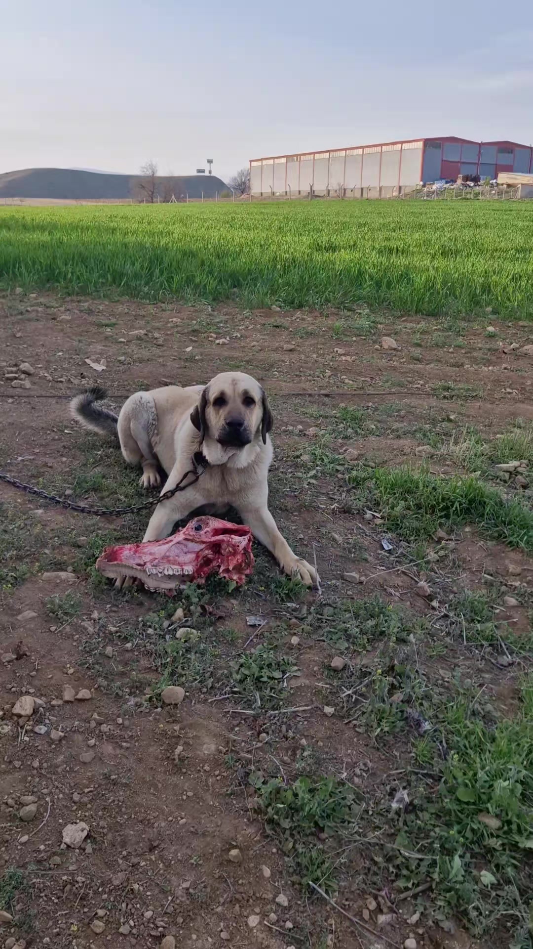 @🦋🇹🇷mrt__06🇹🇷🦋