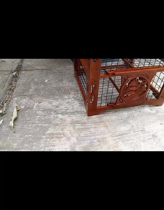@кσєdʝαηg ωσσdcrαƒт