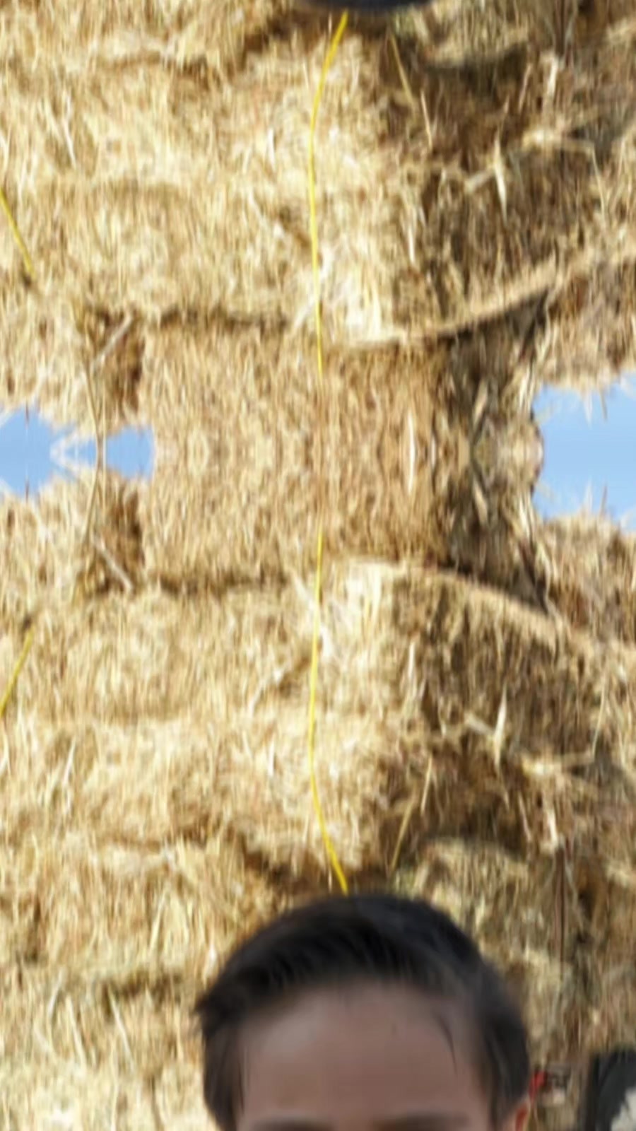 @Que bonito es lo 🐺 bonito🤠