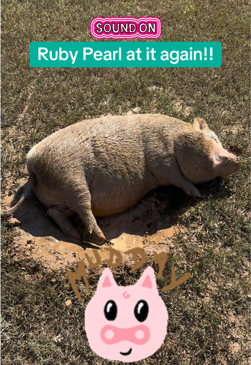 @Ruby Pearl