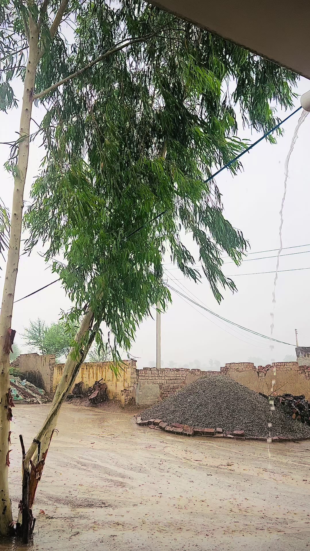 @Naseer ud Din Maلik