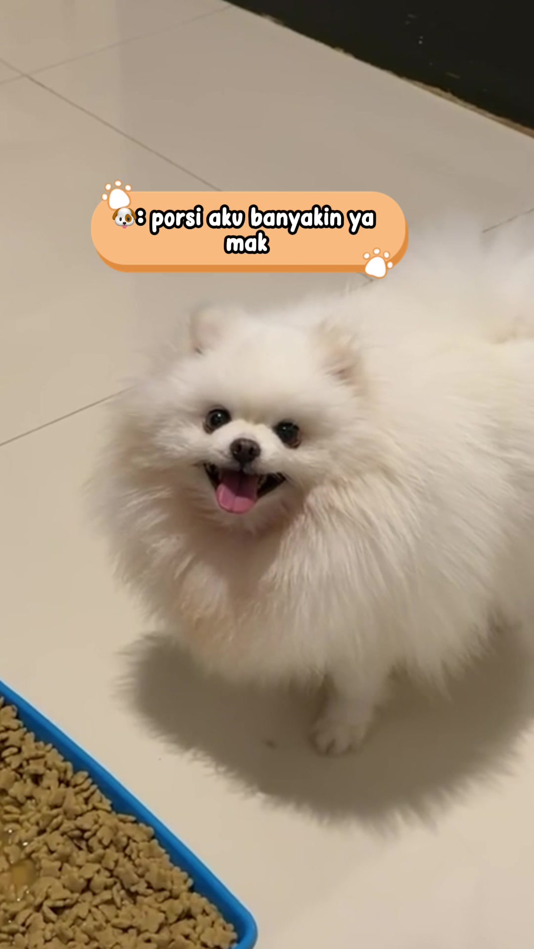 @Chipas Family