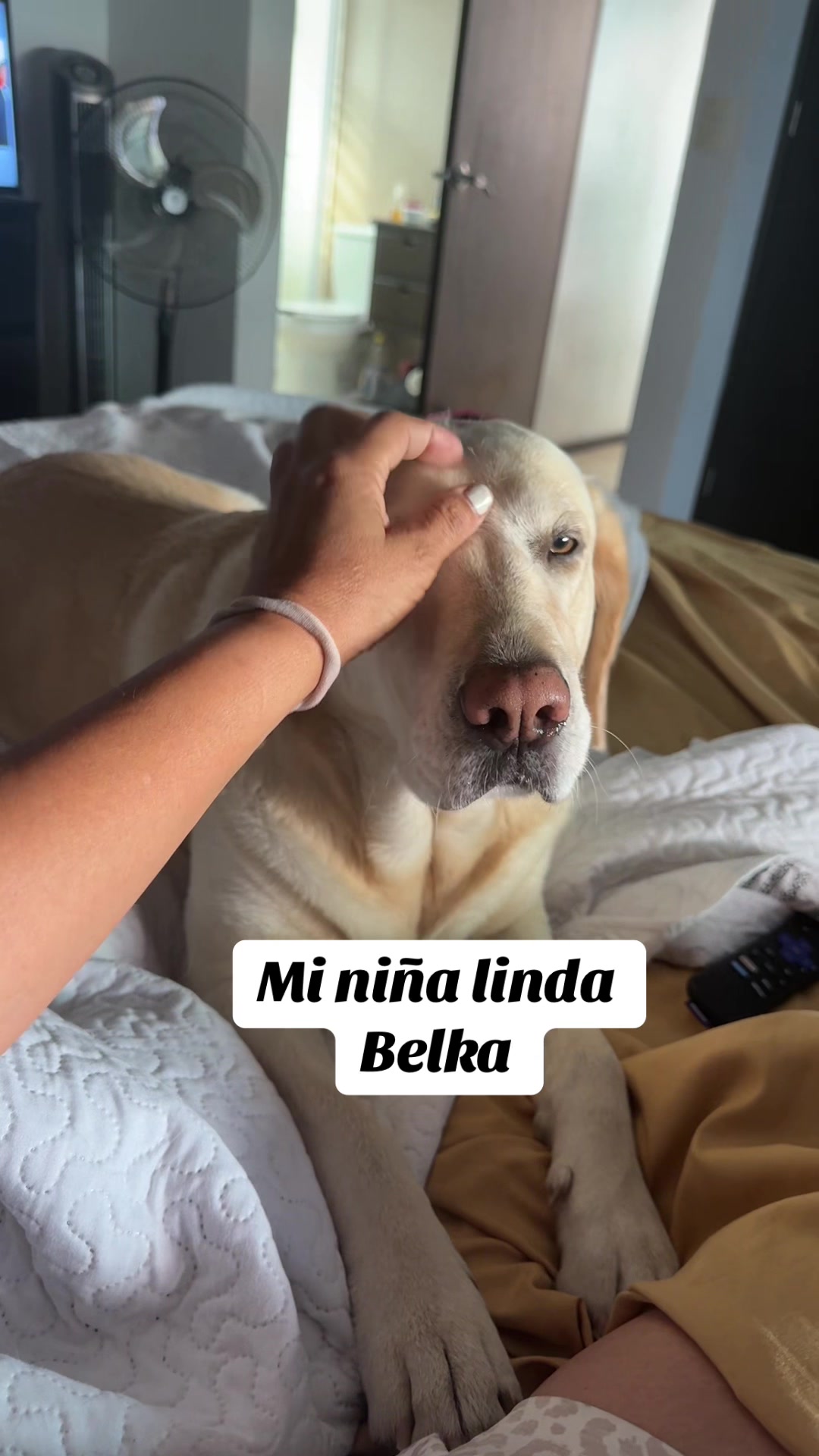 @Daly Bejar