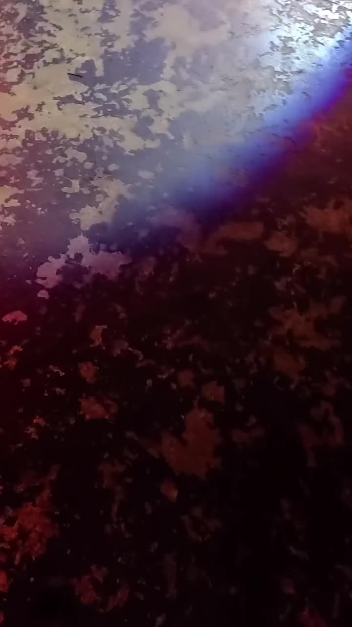 @adt4666