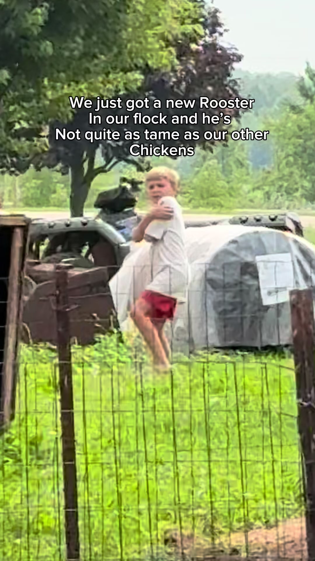 @raisedondairy