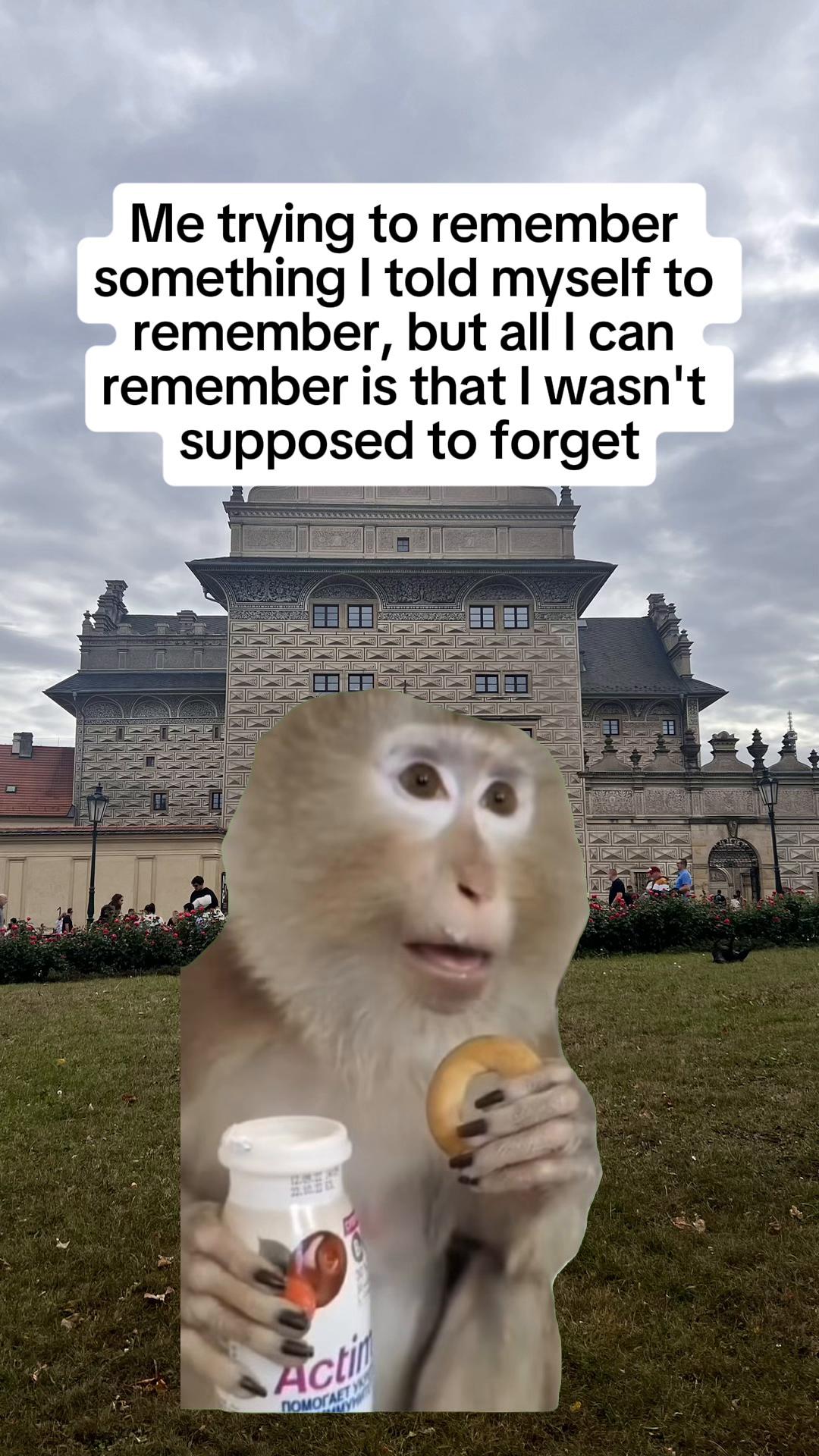 @Rashee