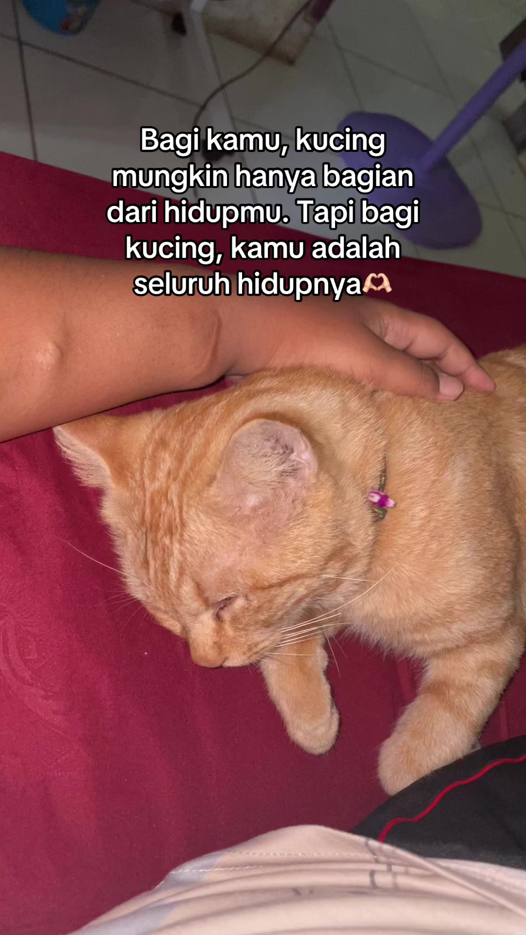 @insta: mutyadeef