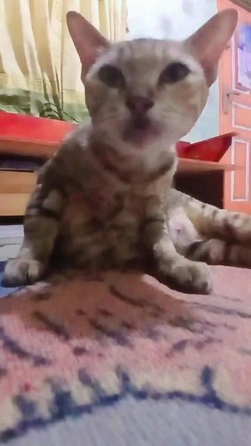@Nasri Sulaiman