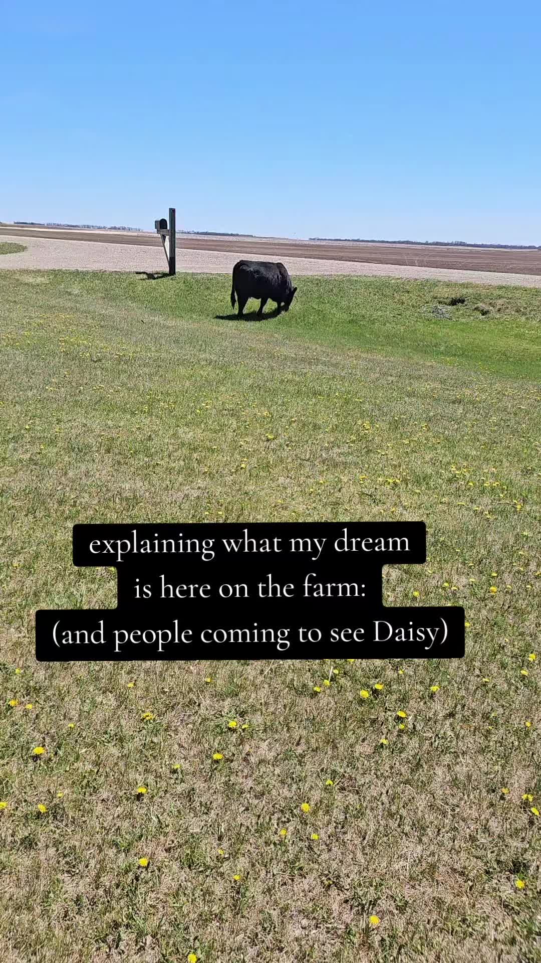 @Dakotafunnyfarm