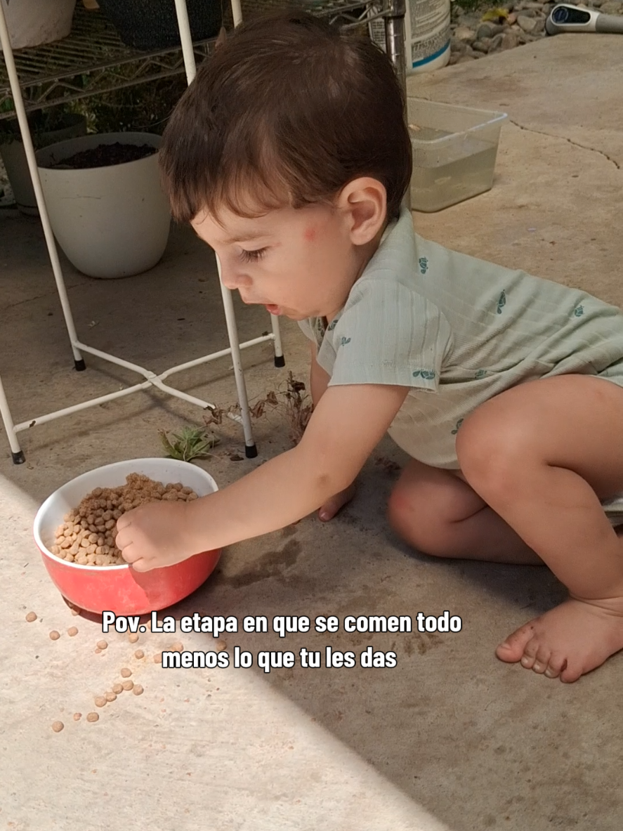 @Soy Laury