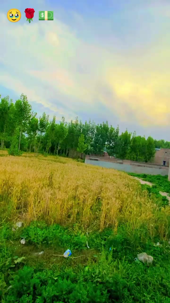 @kashiflhan12