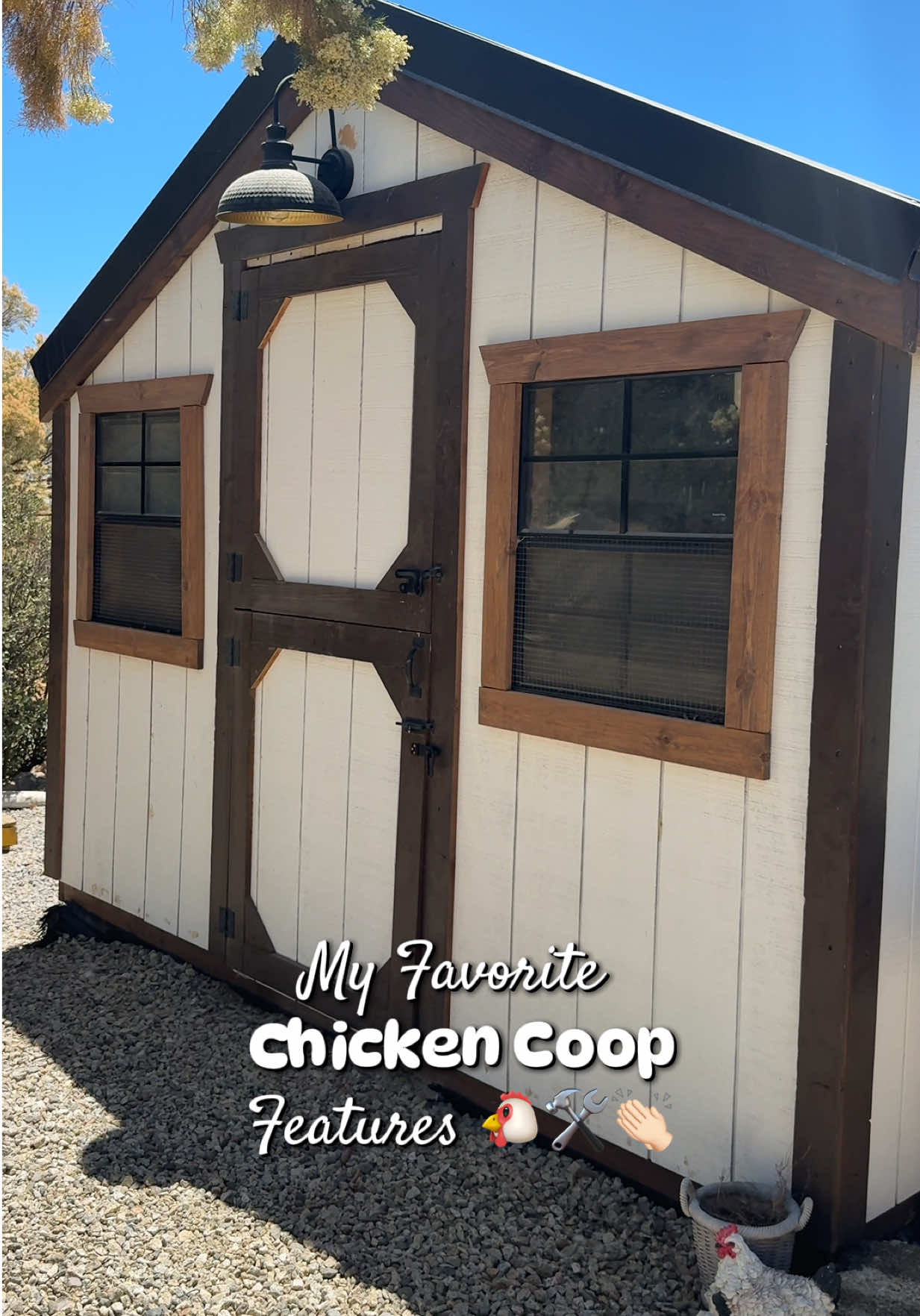 @Simply Chickens