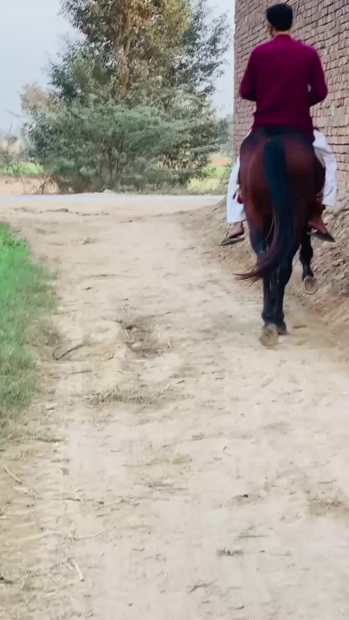 @احمد گل نمبر دار