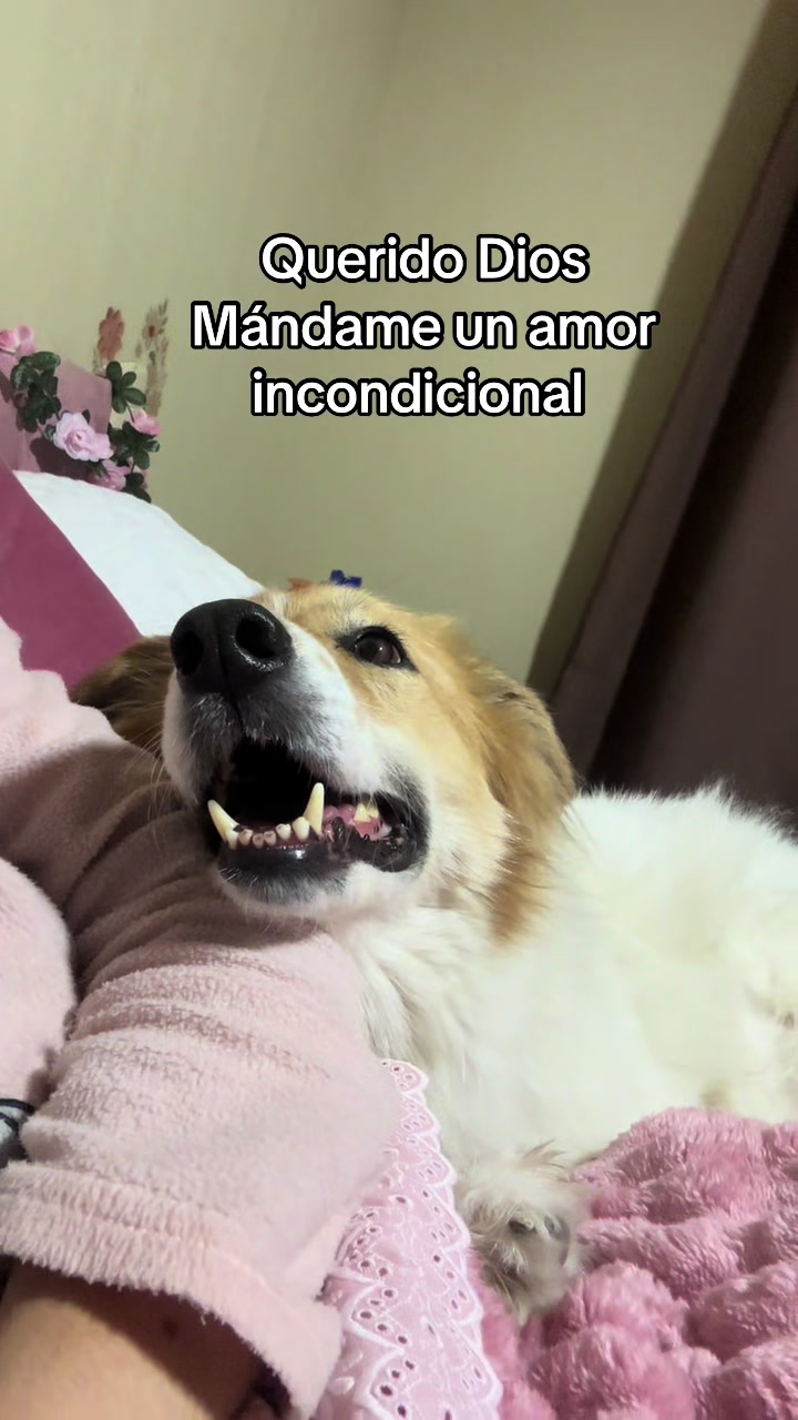 @Vale_josetips