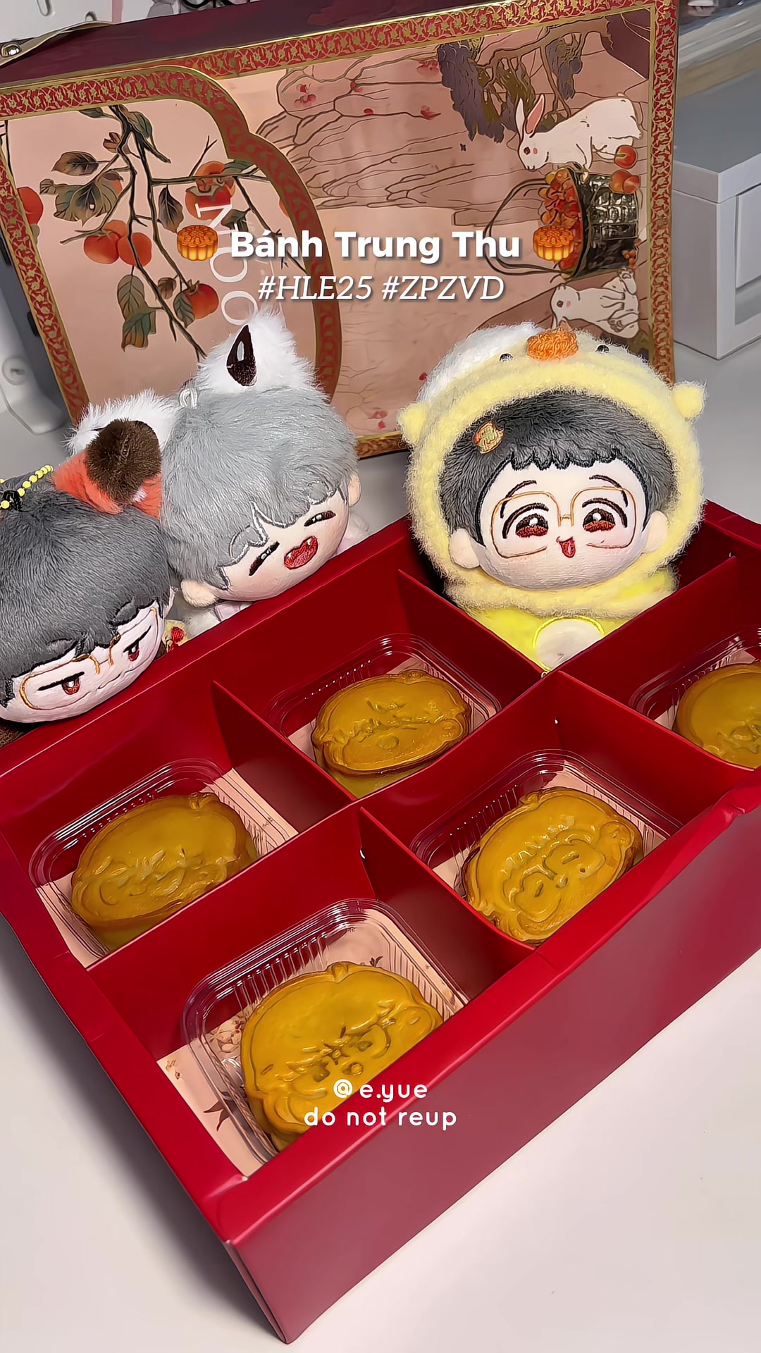 @୧ yue ⋆ ˚。 ⋆