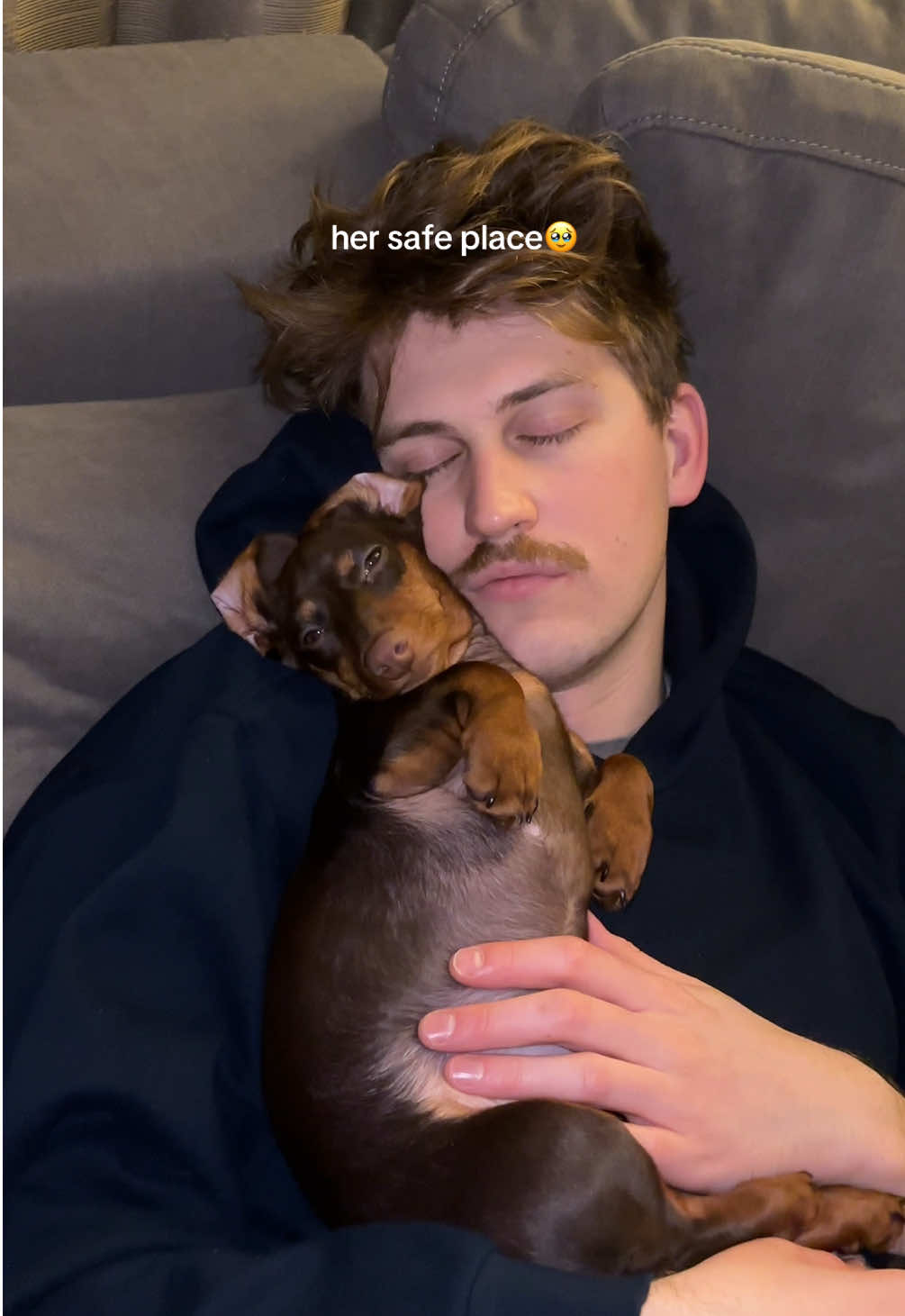 @rhubarb the doggo