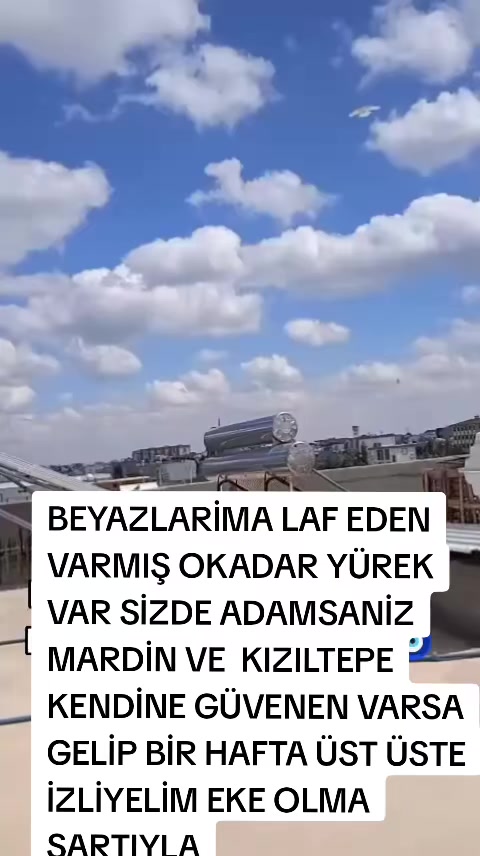 @47 argeş