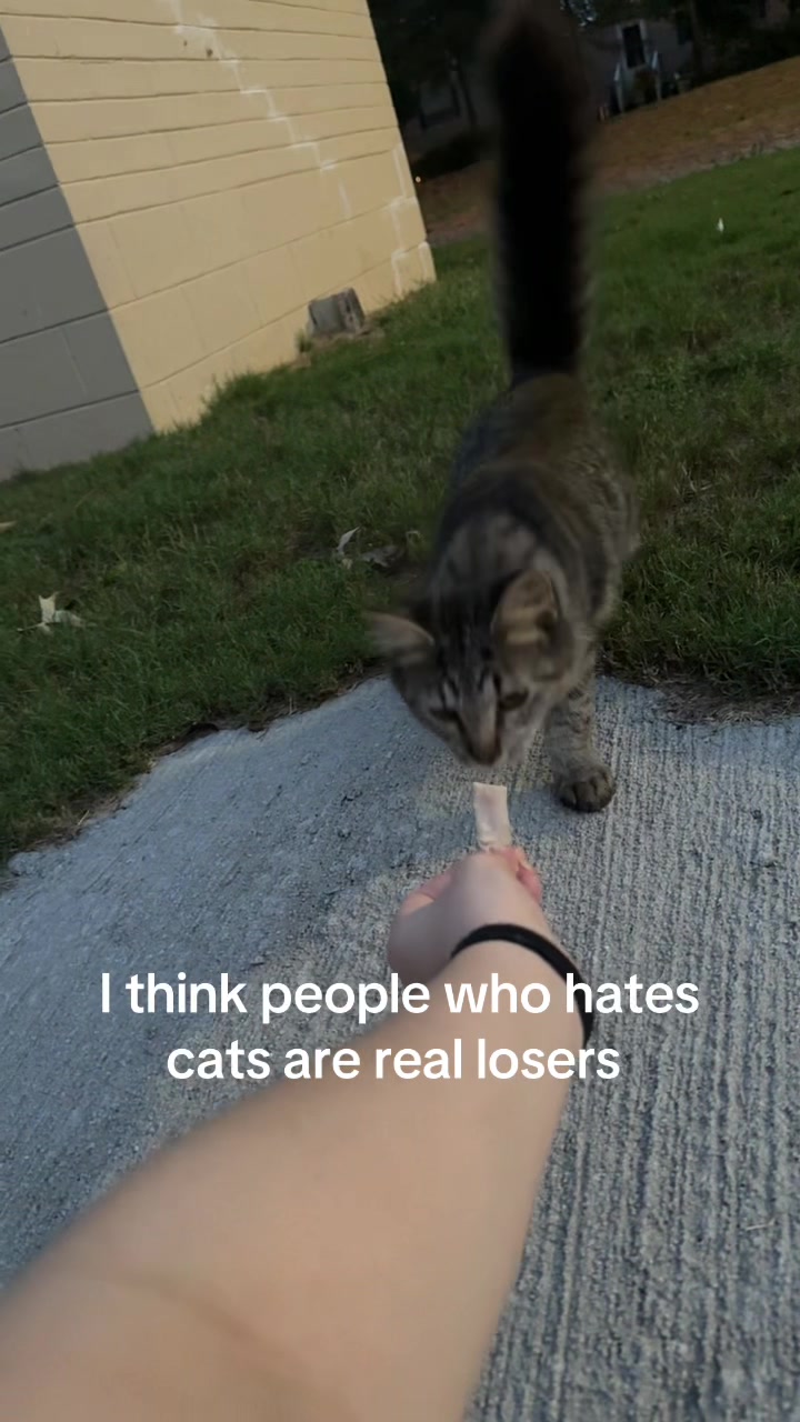 @️ ꨄ𝐏 𝐀 𝐑 𝐈 𝐒 ꨄ