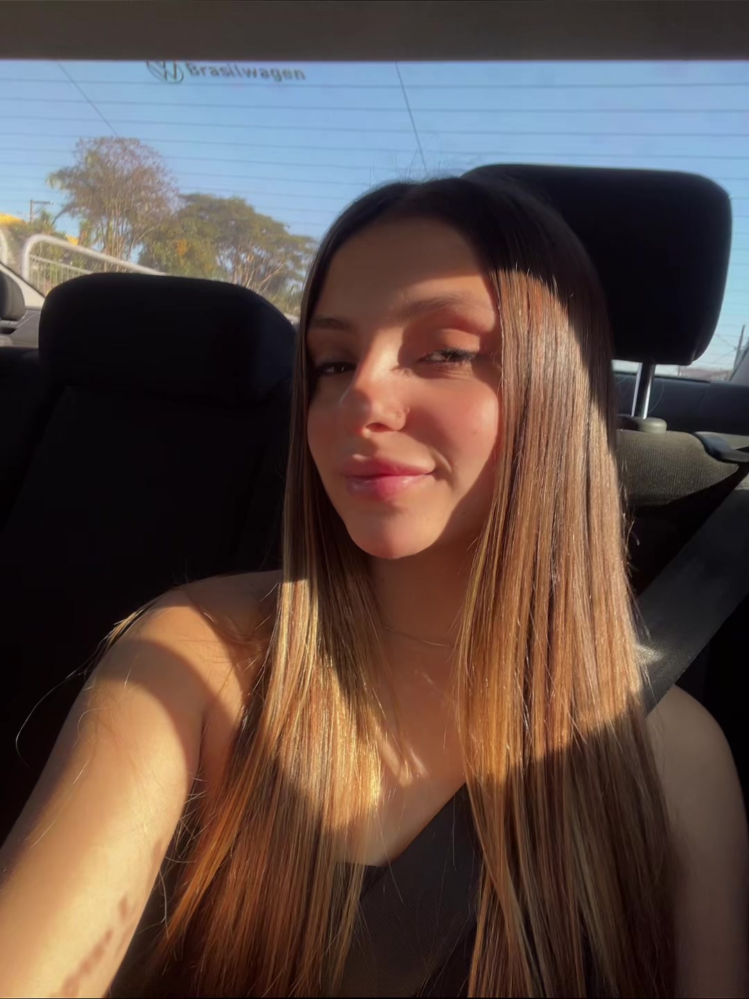 @dailyschiav