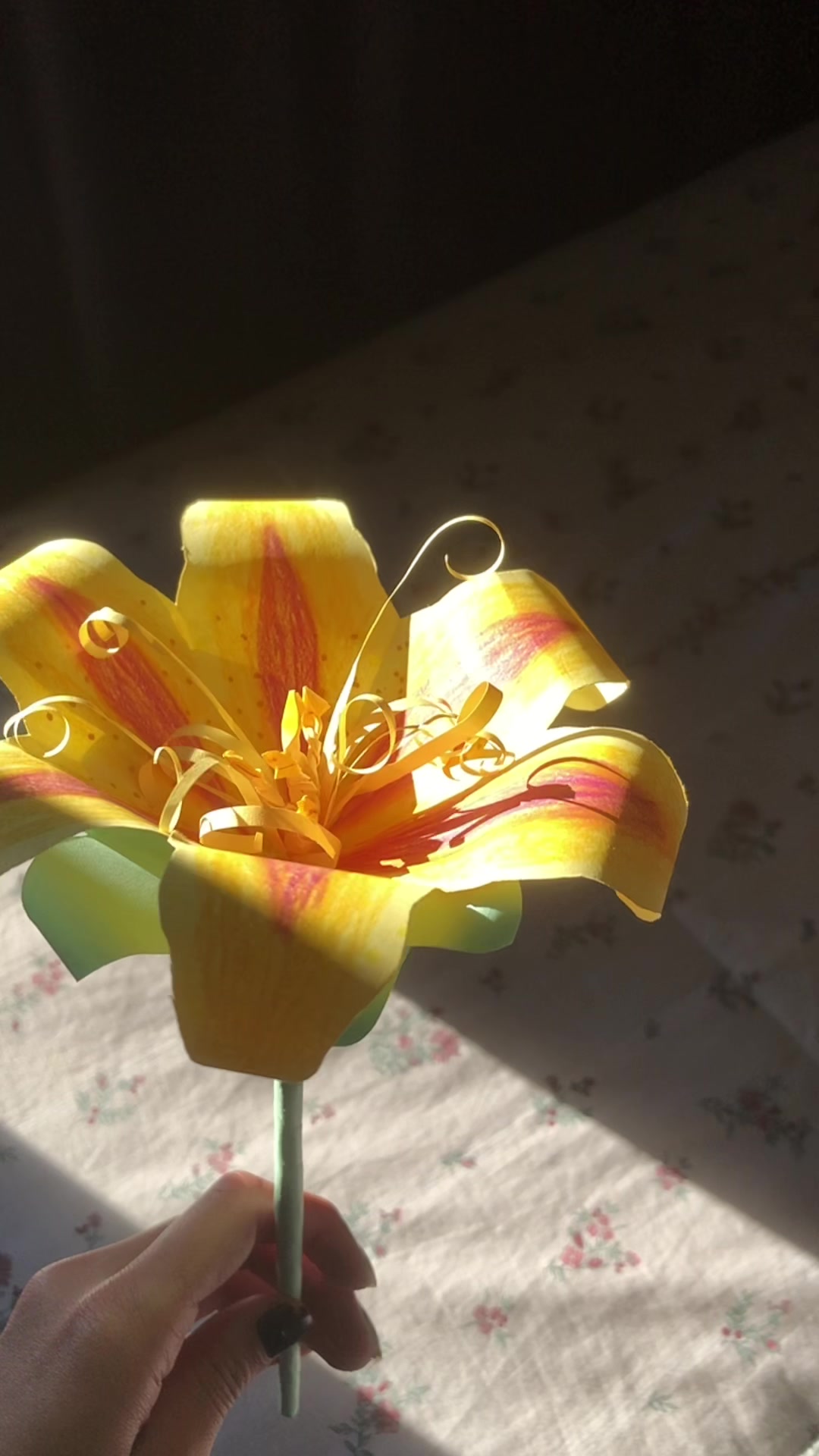 @˖ ࣪⊹𝒞𝒶𝓂𝒾𝓁𝓁ℯ ྀི