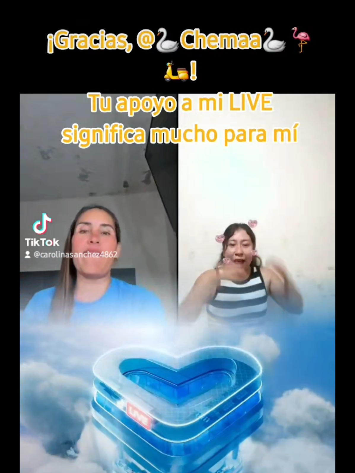 @🦢Carolina Sanchez🦢