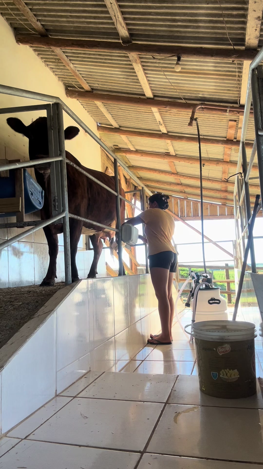 @Val&eacute;ria | Rotina | Queijos🧀🐄