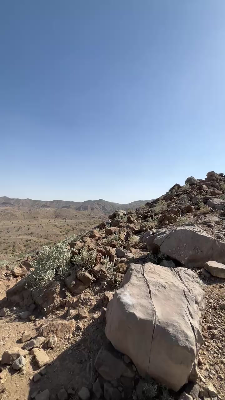 @ammir marri