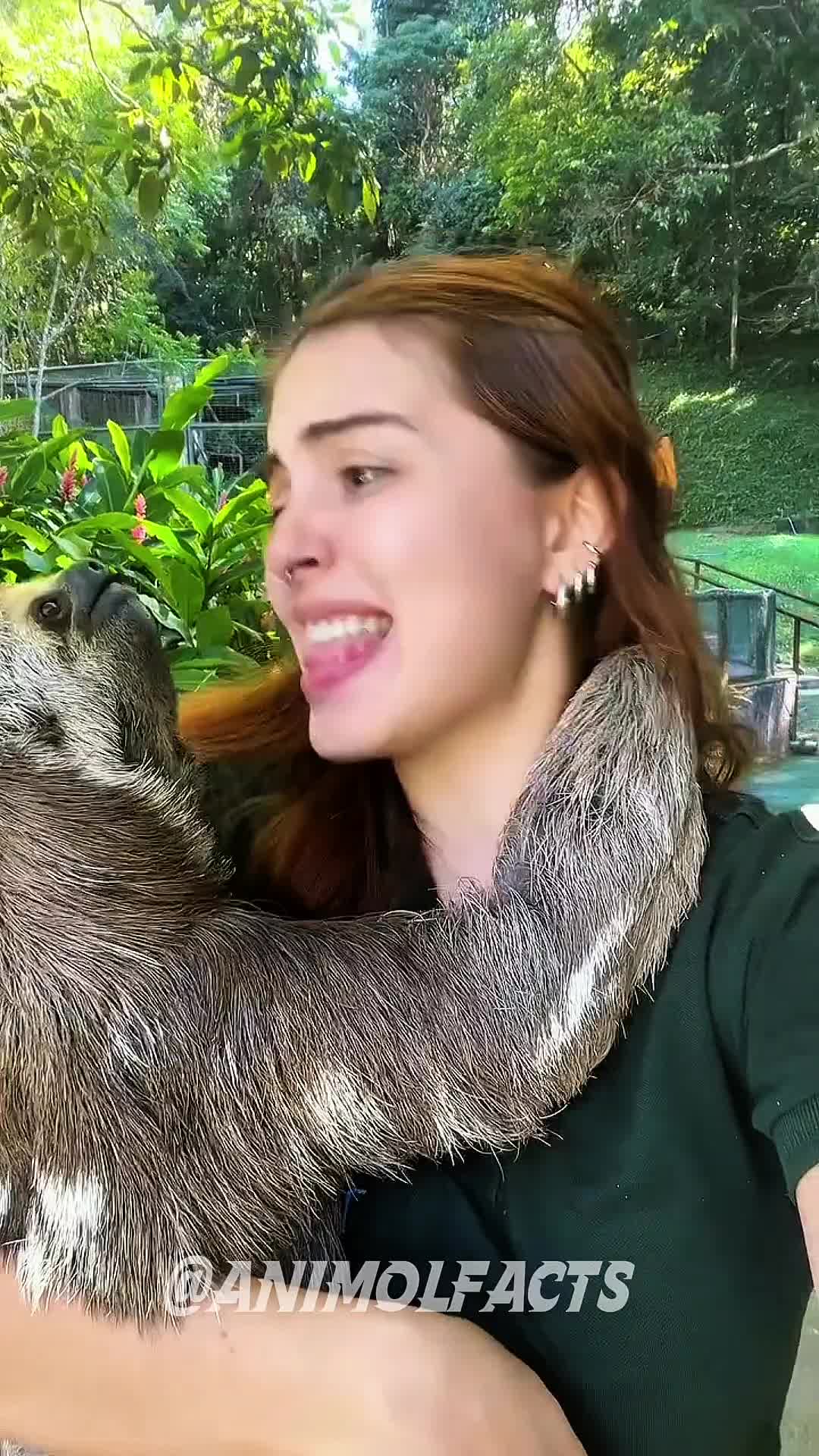 @animolfacts