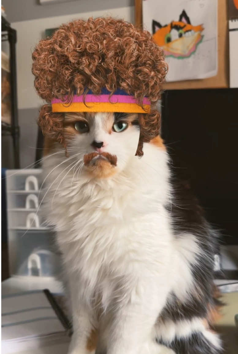 @The Oreo Cat
