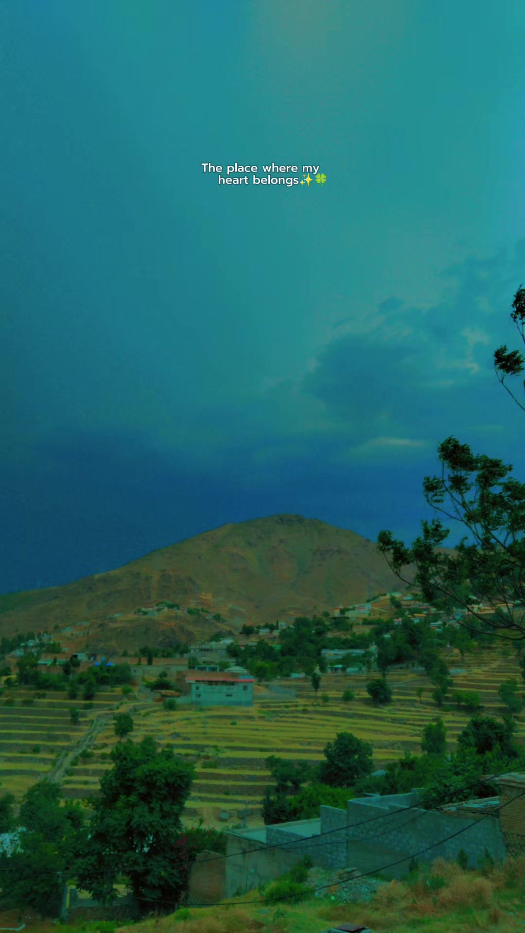 @SAMI ULLAH NASAR