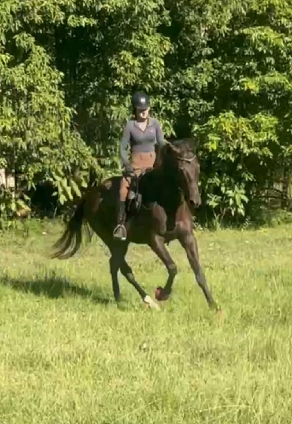 @Double F Performance Horses