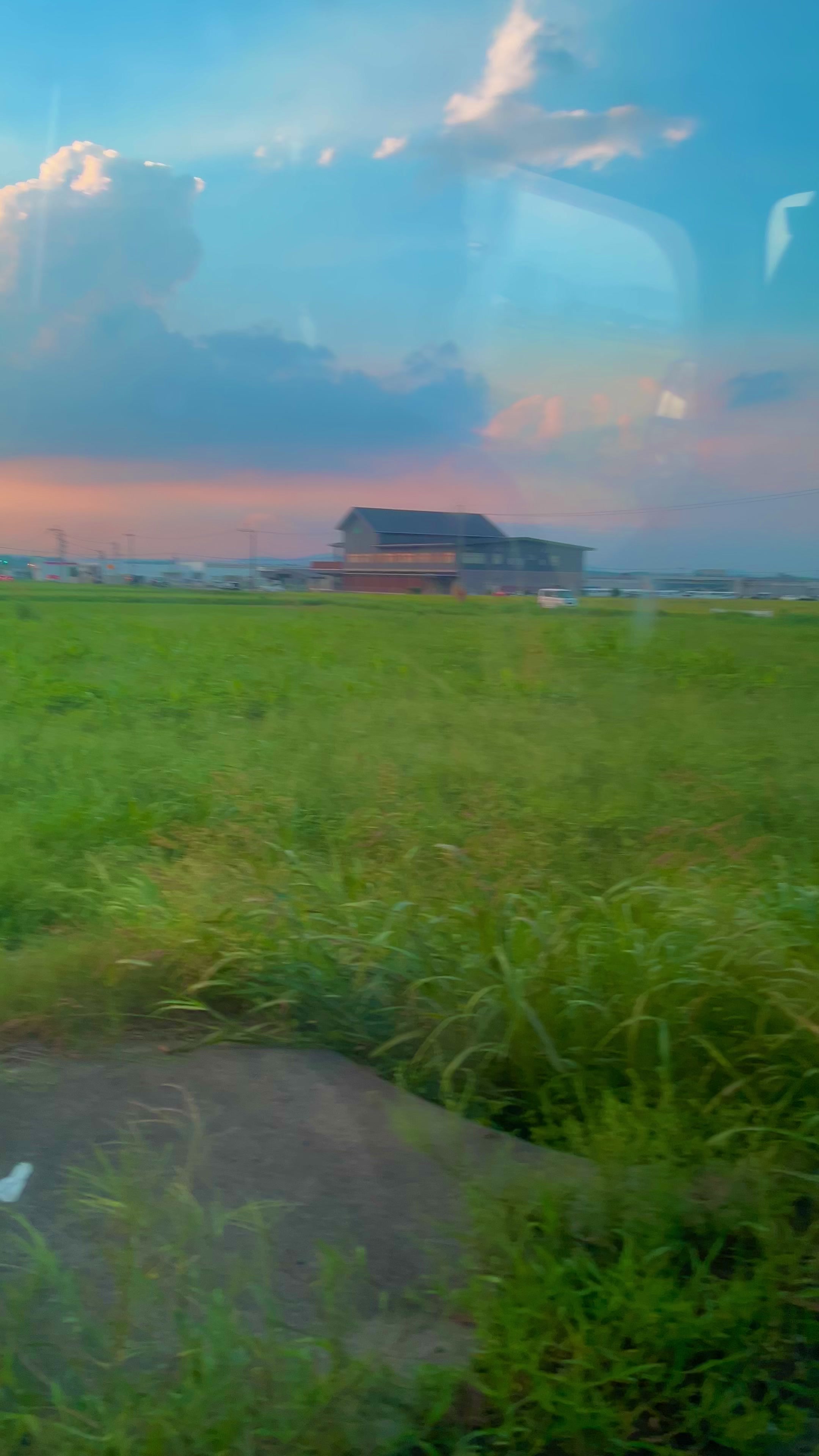 @︎︎夏空