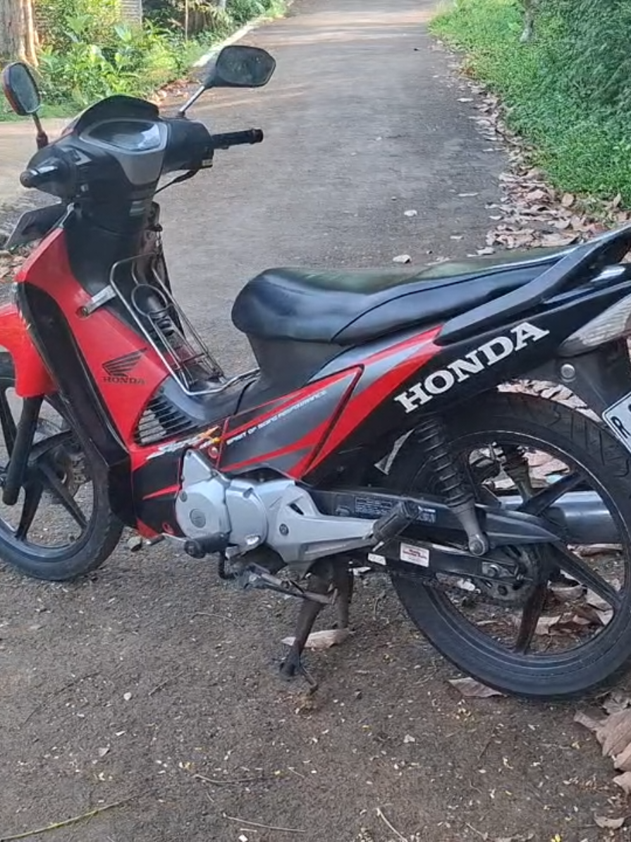 @Alia Motor