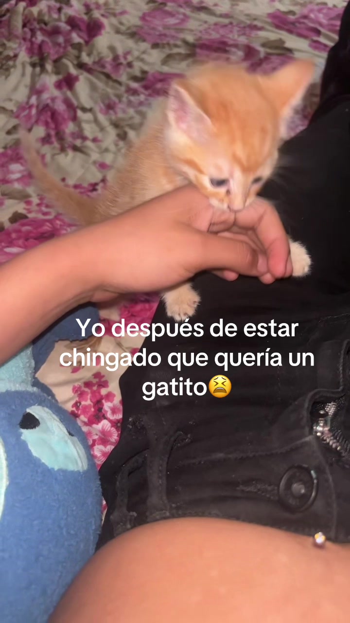 @Daay.🐆