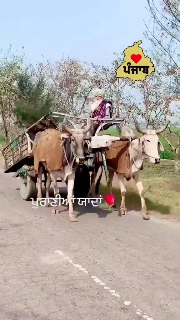 @Baidwan_jodhvir singh