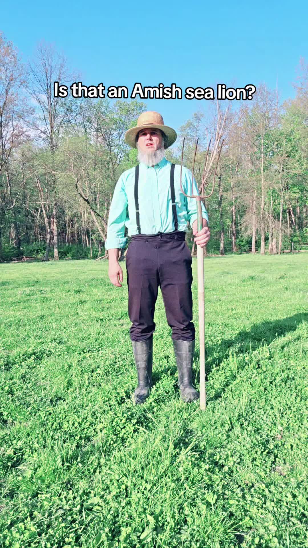 @Daveshowtimemeyer