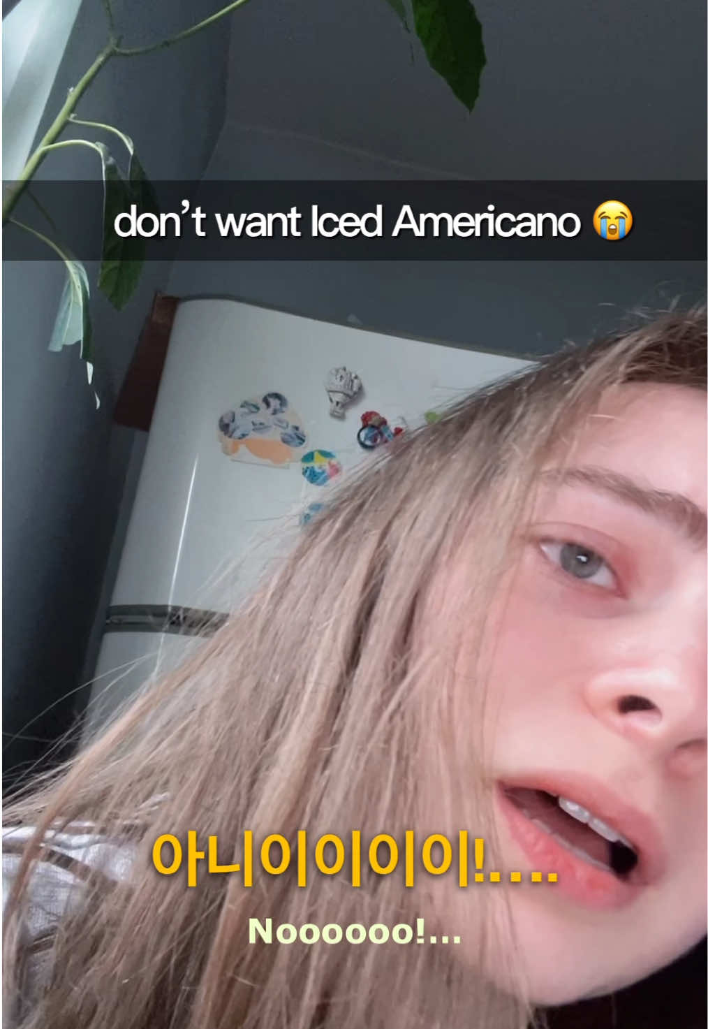 @Hangulbear