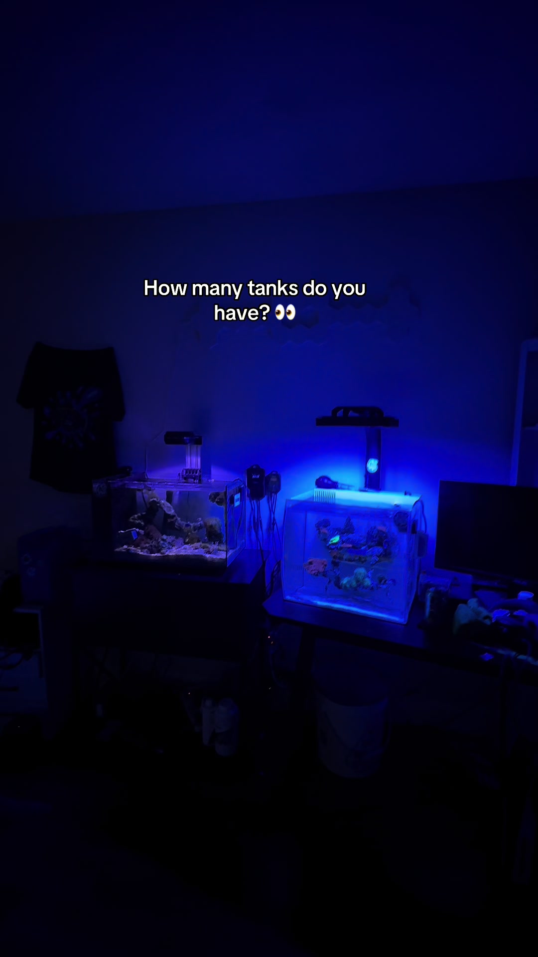 @ReefSync