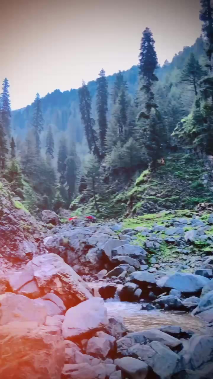 @سواتی جانان