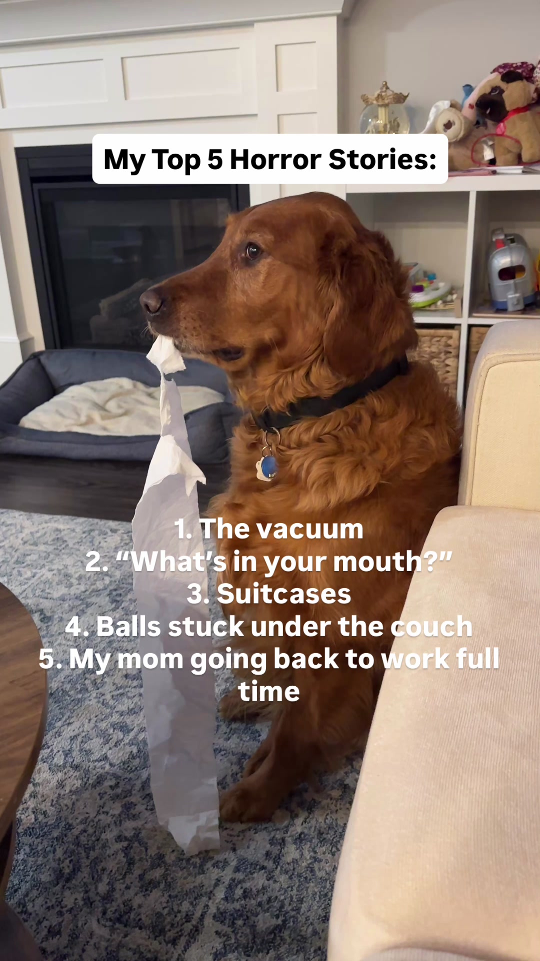 @Air Bud Kobe 🇨🇦